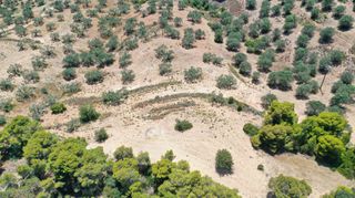 Αγροτεμάχια 31.000 τ.μ. για πώληση, Αργολίδα, Κρανίδι-thumb-13