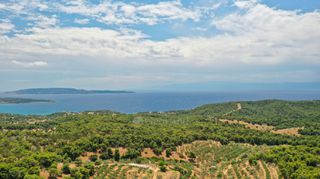 Αγροτεμάχια 31.000 τ.μ. για πώληση, Αργολίδα, Κρανίδι-thumb-16