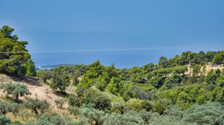 Αγροτεμάχια 31.000 τ.μ. για πώληση, Αργολίδα, Κρανίδι-thumb-8