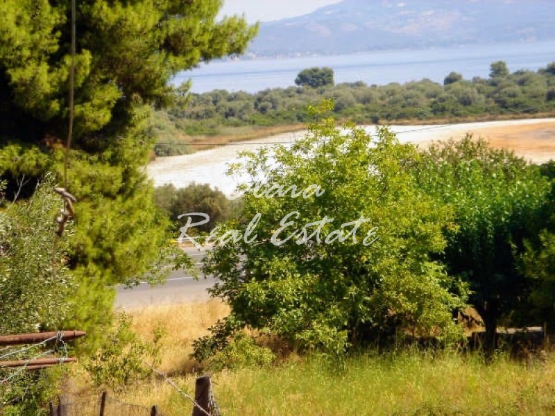 Αγροτεμάχια 72 τ.μ. πρός πώληση, Φθιώτιδας, Άγιος Κωνσταντίνος