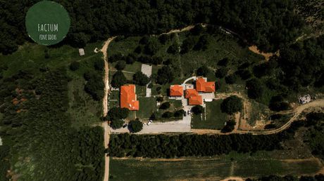 Ξενοδοχείο 600τ.μ. για πώληση-Πολύγυρος » Ταξιάρχης