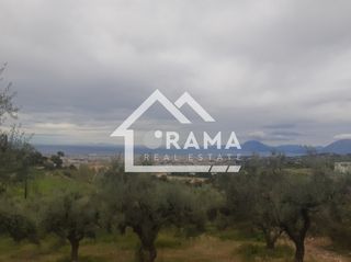 Οικόπεδο 3.895 τ.μ. για πώληση