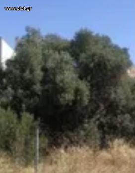 Land plot 678sqm for sale-Alimos » Center