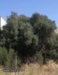 Οικόπεδο 678 τ.μ. για πώληση