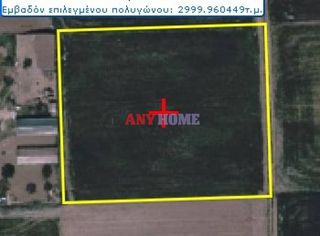 Αγροτεμάχια 3.000 τ.μ. για πώληση