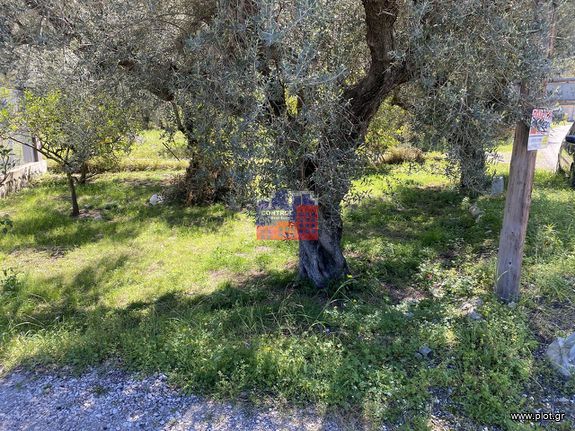 Οικόπεδο 1.313 τ.μ. για πώληση, Αχαΐα, Διακοπτό