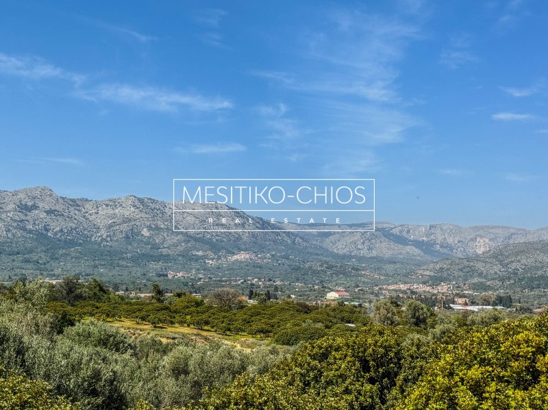 Οικόπεδο 959,02 τ.μ. προς πώληση, Μαστιχοχώρια