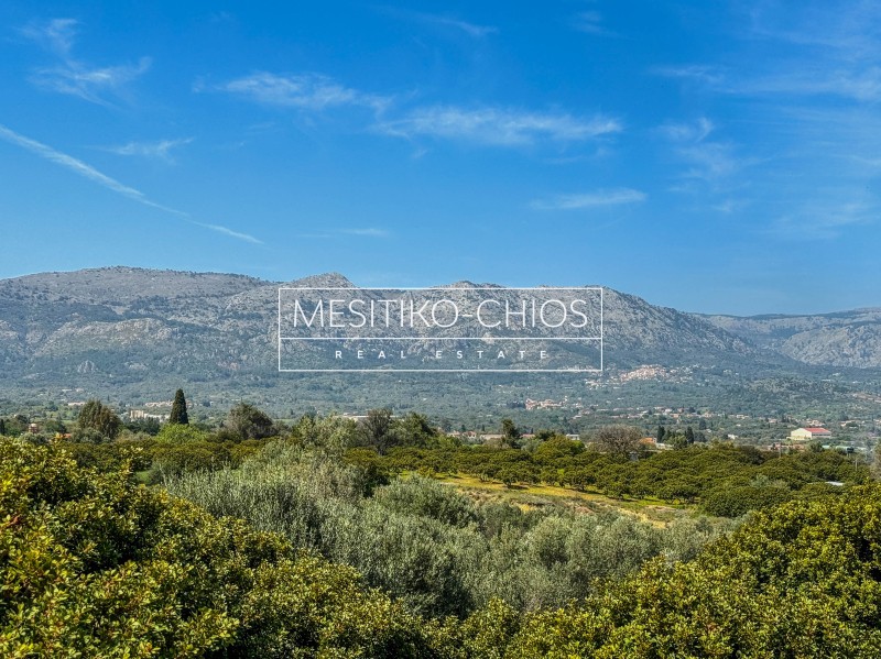 Οικόπεδο 959,02 τ.μ. προς πώληση, Μαστιχοχώρια