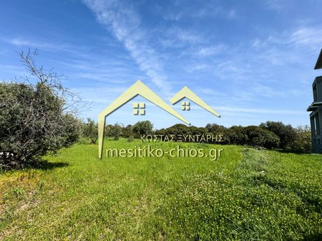Land plot 959,02sqm for sale-Chios » Mastichochoria
