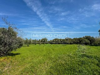 Οικόπεδο 959,02 τ.μ. για πώληση