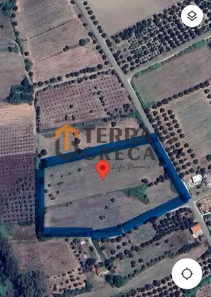 Land plot 20.770 sqm for sale, Ilia, Skilounta