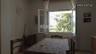 Μονοκατοικία 382 τ.μ. για πώληση, Ν. Σερρών, Κερκίνη-thumb-5