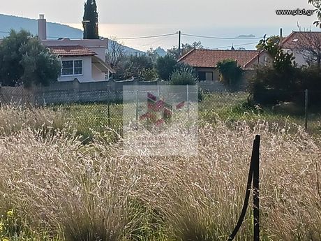 Land plot 360sqm for sale-Kalivia Thorikou » Lagonisi