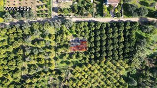 Οικόπεδο 1.000 τ.μ. για πώληση