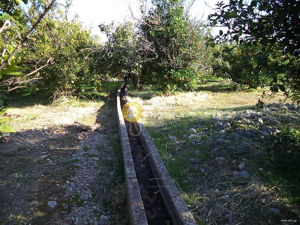 Αγροτεμάχια 8.000 τ.μ. πρός πώληση, Αχαΐα, Διακοπτό