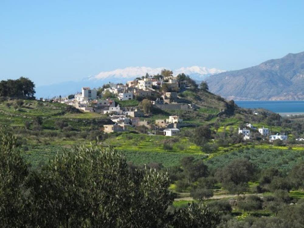 Οικόπεδο 1.200 τ.μ. προς πώληση, Καμηλάρι