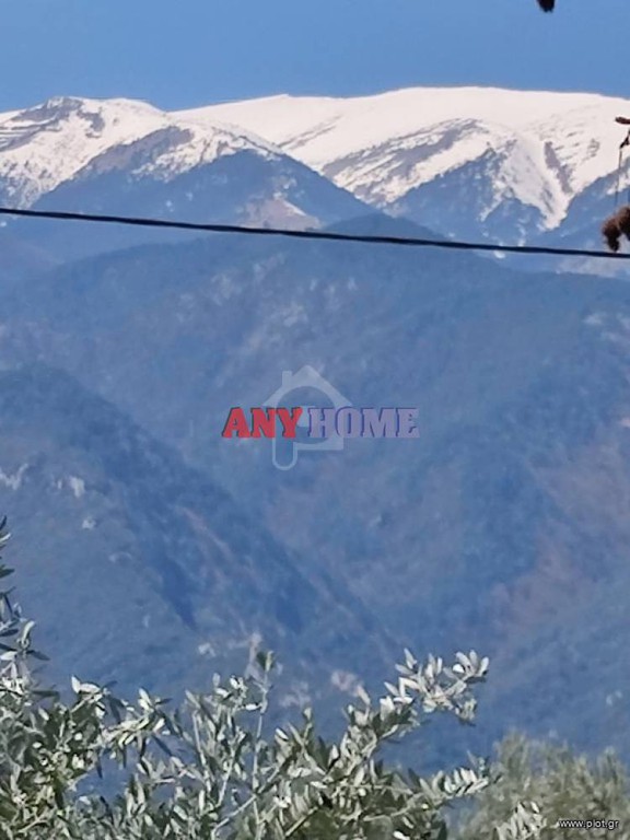 Αγροτεμάχια 1.586 τ.μ. προς πώληση, Λεπτοκαρυά Ανατολικού Ολύμπου