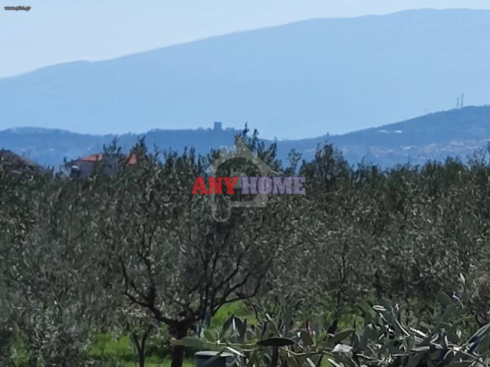 Αγροτεμάχια 1.586 τ.μ. προς πώληση, Λεπτοκαρυά Ανατολικού Ολύμπου