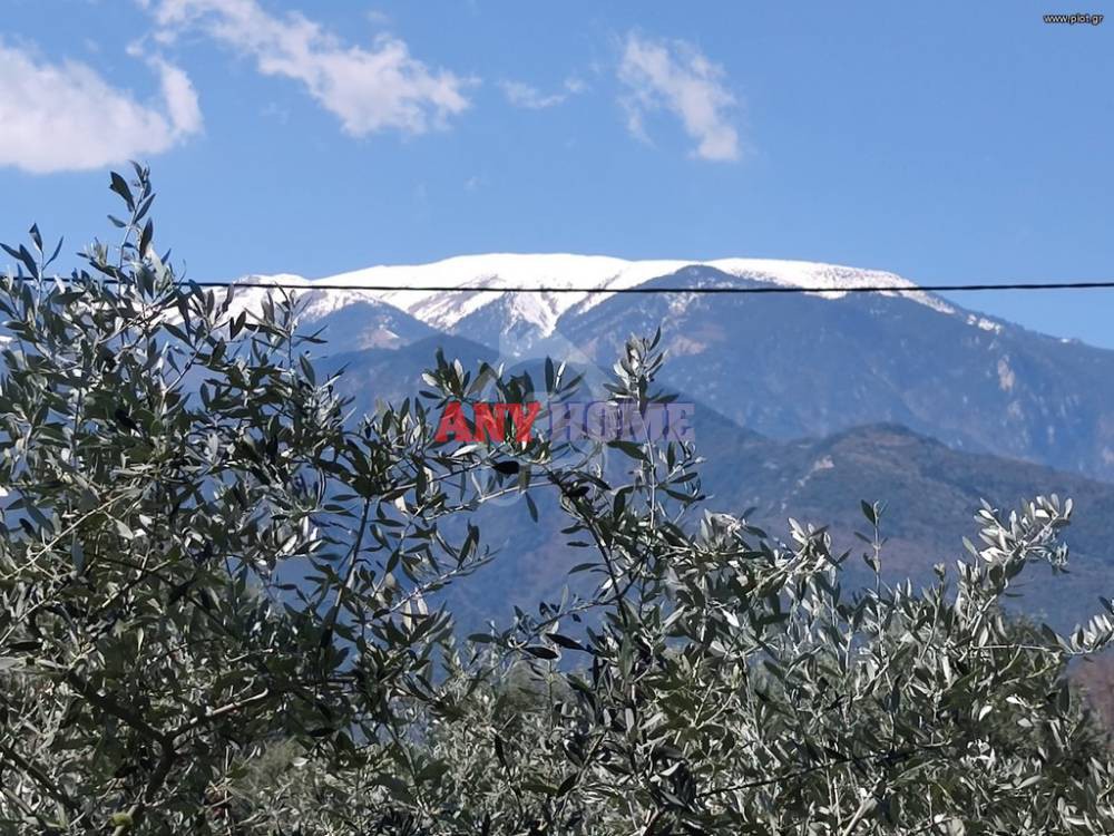 Αγροτεμάχια 1.586 τ.μ. προς πώληση, Λεπτοκαρυά Ανατολικού Ολύμπου
