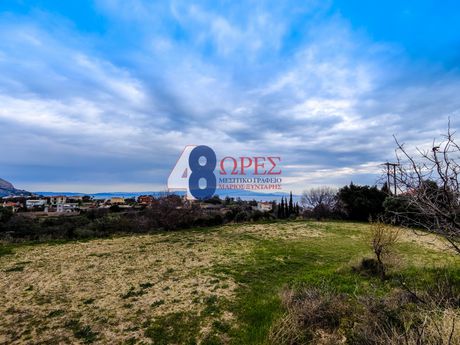 Οικόπεδο 7.330τ.μ. για πώληση-Χίος » Ομηρούπολη