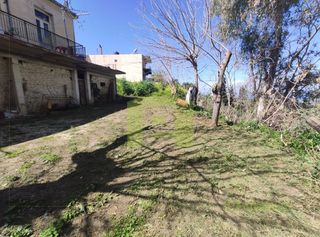 Οικόπεδο 1.000 τ.μ. προς πώληση, Θέα Μεσσάτιδας-thumb-9