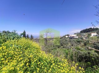 Οικόπεδο 1.000 τ.μ. προς πώληση, Θέα Μεσσάτιδας-thumb-19