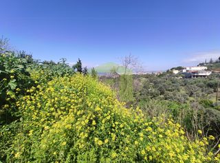 Οικόπεδο 1.000 τ.μ. προς πώληση, Θέα Μεσσάτιδας-thumb-20