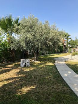 Detached home 580sqm for sale-
