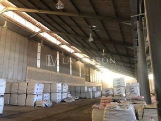 Μονοκατοικία 20.600 τ.μ. για πώληση, Πάφος-thumb-6