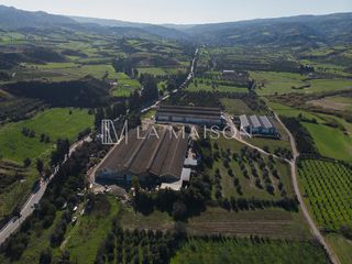 Μονοκατοικία 20.600 τ.μ. για πώληση, Πάφος-thumb-1
