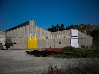 Μονοκατοικία 20.600 τ.μ. για πώληση, Πάφος-thumb-2