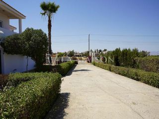 Μονοκατοικία 250 τ.μ. για πώληση, Λευκωσία-thumb-18
