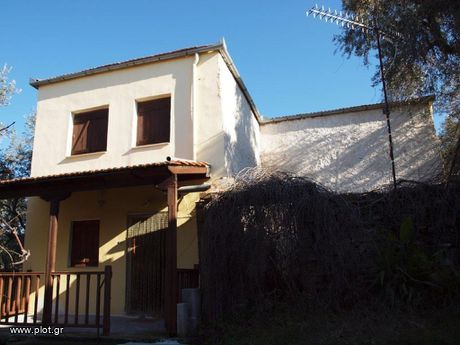 Μονοκατοικία 145τ.μ. για πώληση-Αφέτες » Ζερβόχια