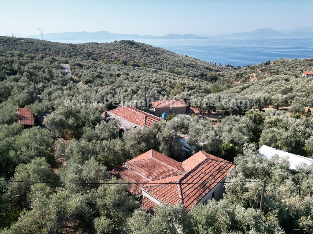 Μονοκατοικία 145 τ.μ. πρός πώληση, Μαγνησία, Αφέτες