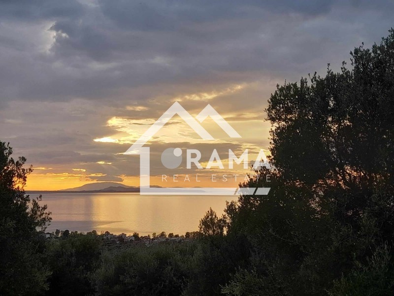Οικόπεδο 3.462 τ.μ. πρός πώληση, Αχαΐα, Παραλία