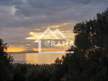 Οικόπεδο 3.462τ.μ. για πώληση-Παραλία » Μιντιλόγλι