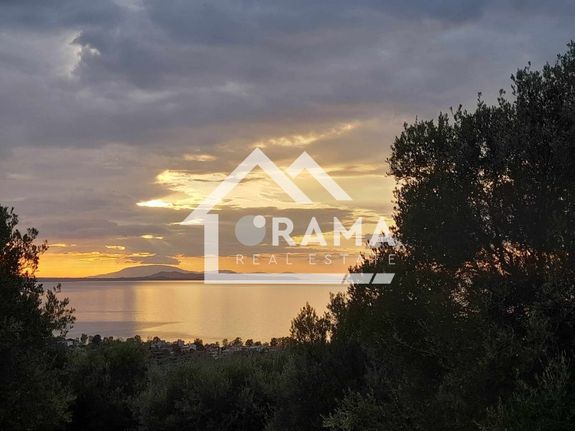 Land plot 3.462 sqm for sale, Achaia, Paralia