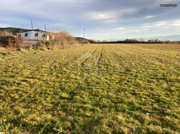Parcel 4.385 sqm for sale, Trikala Prefecture, Vasiliki