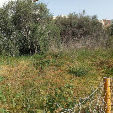 Land plot 430 sqm for sale, Heraklion Prefecture, Heraclion Cretes