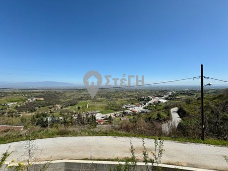 Αγροτεμάχια 2.135 τ.μ. για πώληση