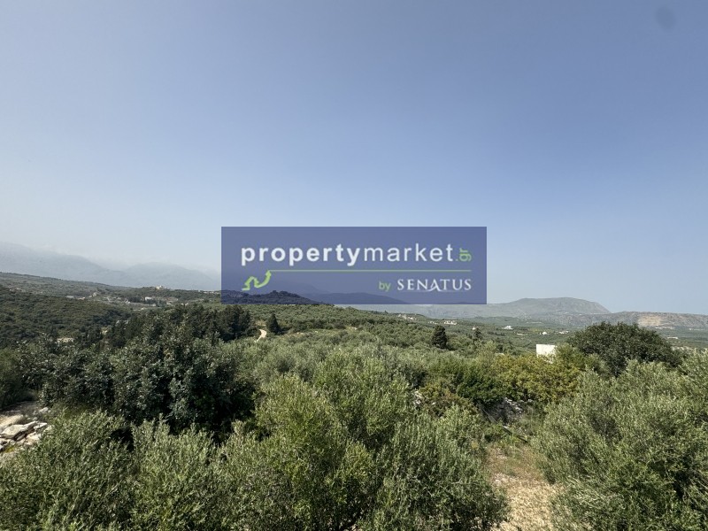Οικόπεδο 5.900 τ.μ. προς πώληση, Τσιβαράς