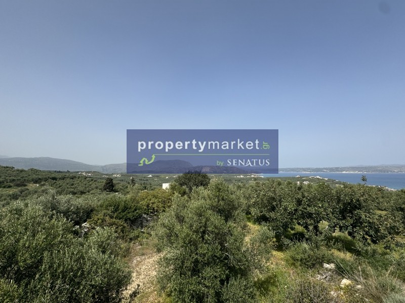 Οικόπεδο 5.900 τ.μ. προς πώληση, Τσιβαράς