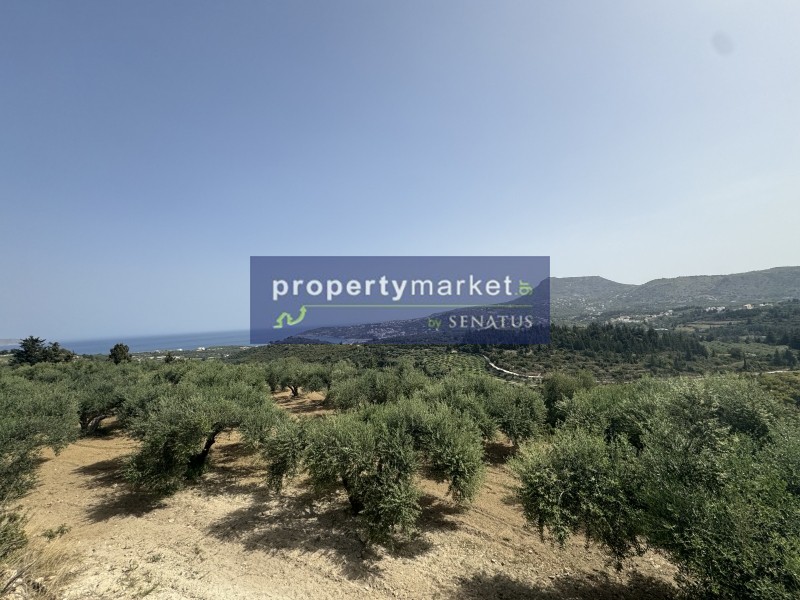 Οικόπεδο 5.900 τ.μ. προς πώληση, Τσιβαράς