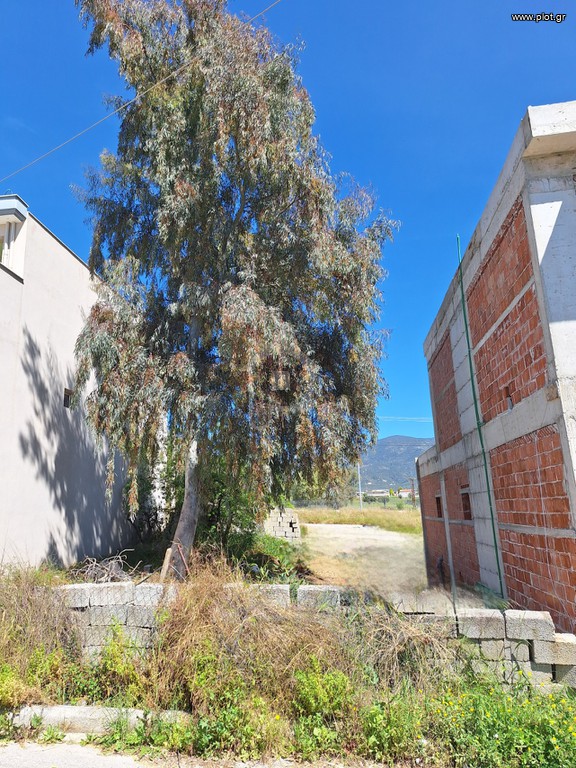 Οικόπεδο 166 τ.μ. πρός πώληση, Μαγνησία, Νέα Ιωνία Βόλου