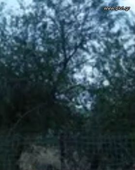 Οικόπεδο 453τ.μ. για πώληση-Άλιμος » Κέντρο