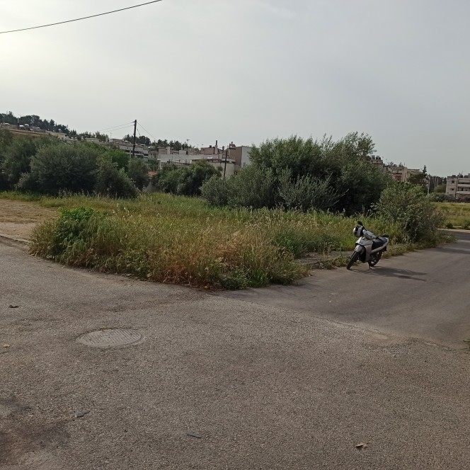 Οικόπεδο 294 τ.μ. προς πώληση, Αυλίζα