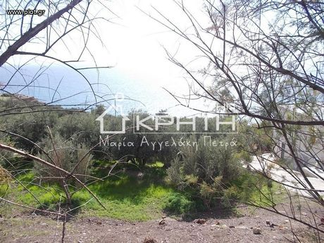 Land plot 1.546,86sqm for sale-Ierapetra » Ferma