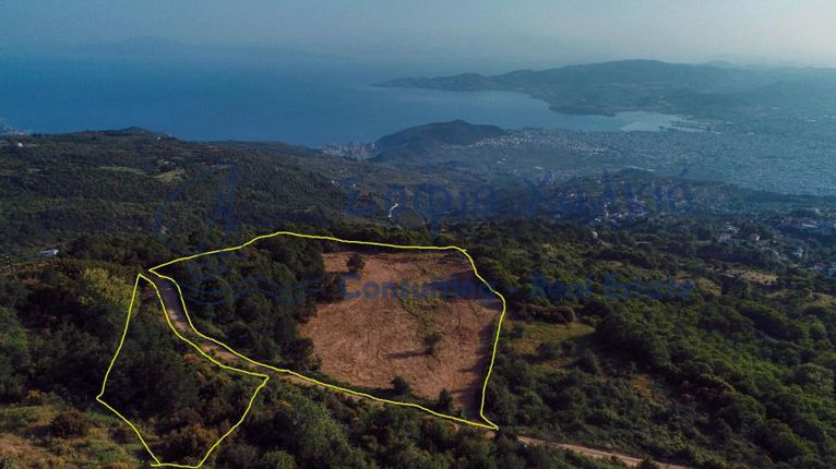 Οικόπεδο 14.250 τ.μ. για πώληση, Μαγνησία, Πορταριά