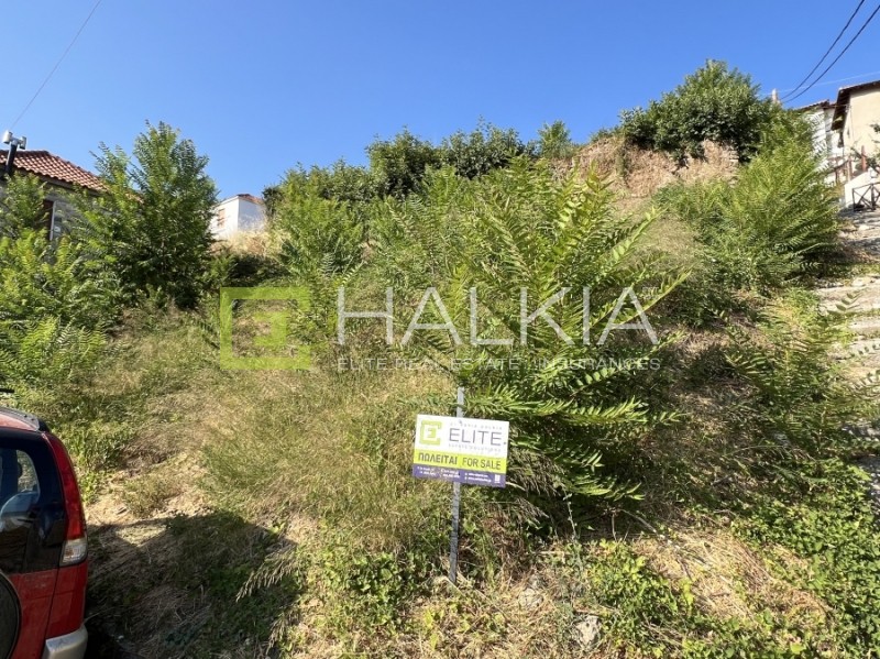 Οικόπεδο 368 τ.μ. πρός πώληση, Μαγνησία, Αγριά