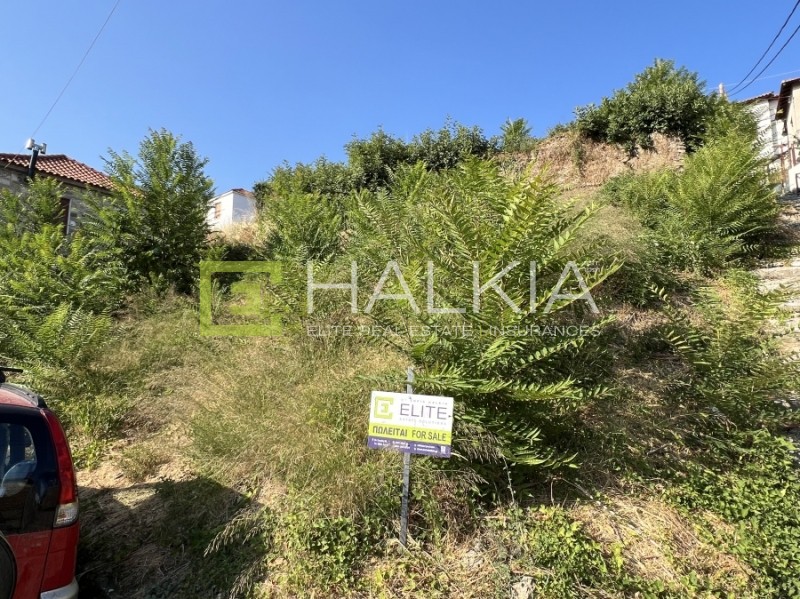 Οικόπεδο 368 τ.μ. πρός πώληση, Μαγνησία, Αγριά